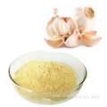 Top Quality Garlic Dry Powder Vegetables